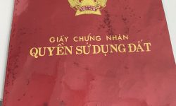 Đất đường số 9 Linh Trung,Thủ Đức, gần trung tâm thương mại Vincom