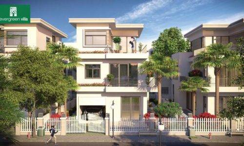 Dự án khu biệt thự Evergreen Villa