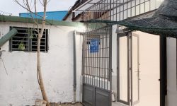 Bán Nhà Cấp 4 Xây Mới 100% P. Bình Chiểu, Q. Thủ Đức