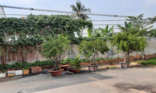 Cho thuê đất dài hạn Bình Chiểu Thủ Đức