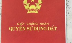 Cần bán lô đất tại hẻm 668 cách mặt tiền Quốc Lộ 13 khoảng 20m