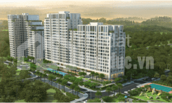 Dự án căn hộ chung cư Opal Riverside