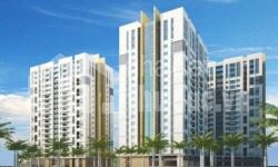Dự án căn hộ chung cư Lotus Apartment