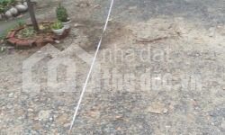 Đất 291m2 1 sẹc vuông vức cao ráo tại Đường số 8 Trường Thọ Thủ Đức