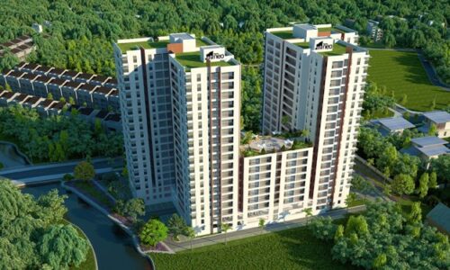 Dự án căn hộ chung cư Hausneo