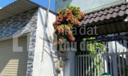 NHÀ 1 SẸC GẦN LÊ VĂN VIỆT TNPA Q9 GIÁ TRONG KẸT CẦN TIỀN BÁN GẤP!!!!