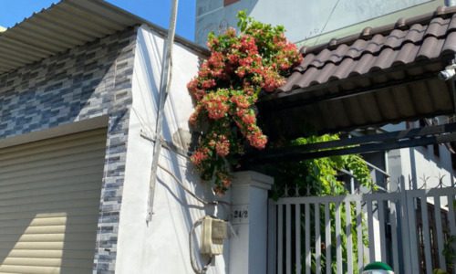 NHÀ 1 SẸC GẦN LÊ VĂN VIỆT TNPA Q9 GIÁ TRONG KẸT CẦN TIỀN BÁN GẤP!!!!