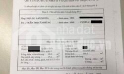 ĐẤT MT ĐS THẢO ĐIỀN GIÁ RẺ KẸT NGÂN HÀNG CẦN BÁN GẤP!!!!!
