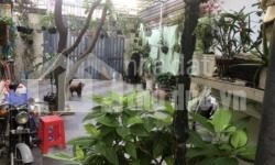 BÁN ĐẤT TẶNG NHÀ 1 SẸC ĐƯỜNG TAM CHÂU GẦN NGAY NHÀ THỜ TAM HẢI THỦ ĐỨC!!!!!!
