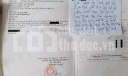 RẺ NHẤT BÌNH TRƯNG ĐÔNG!!!! ĐẤT MT VUÔNG VỨC NGANG 8M KẸT TIỀN CẦN BÁN GẤP!!!!