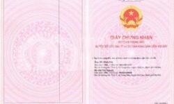 NHÀ NÁT LINH XUÂN ĐƯỜNG LỚN CẦN TIỀN BÁN GẤP GIÁ RẺ!!!!