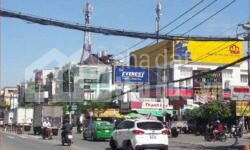 ĐẤT BIỆT THỰ 250M2 ĐỖ XUÂN HỢP ĐỐI DIỆN KĐT CITY GLOBAL BÁN GẤP!!!