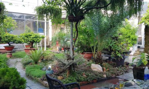 ĐẤT GÓC 2MT ĐƯỜNG GẦN BV LÊ VĂN THỊNH RẤT CẦN BÁN GẤP GIÁ RẺ!!!