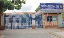 ĐẤT GÓC 2MT TIỀN GẦN TRƯỜNG TIỂU HỌC TÂN PHÚ Q9 CẦN BÁN GẤP GIÁ RẺ!!!