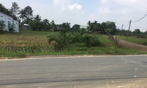 CHO THUÊ 2000M2 ĐẤT MT ĐƯỜNG SỐ 4 LONG PHƯỚC QUẬN 9!!!!