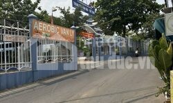 NHÀ 3 MẶT TIỀN TĂNG NHƠN PHÚ B Q9 CẦN TIỀN NÊN BÁN GẤP!!