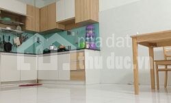 GẤP!!! BÁN NHÀ GẦN KDT VẠN PHÚC – CHỢ BÌNH TRIỆU GIÁ RẺ KHU VỰC!!!!