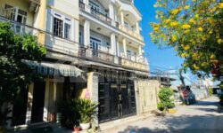 Đất giá rẻ 6×20m=120m, đường Ụ Ghe, cách vành đai 2 chỉ 100m.