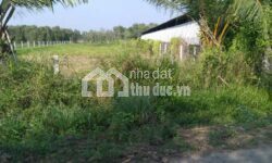 Cần bán 7291m2 đất tam phú thủ đức, đất trồng cây, sổ hồng riêng