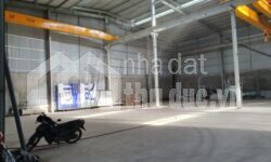 Cho thuê kho mặt tiền 3000m2 – 20.000m2 Quốc lộ 1A Thủ Đức.