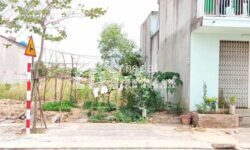 Đất thổ cư vuông vức 5×16=80m2 thổ cư 100% khu dân trí cao, sổ hồng riêng