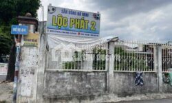 Đất đẹp đường ô tô Lê Thị Hoa sổ hồng giá hấp dẫn 2,73 tỷ/61m2