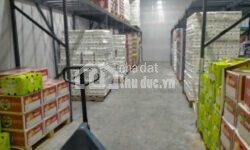 BÁN KHO MẶT TIỀN NGAY CHỢ ĐẦU MỐI – TAM BÌNH, THỦ ĐỨC
